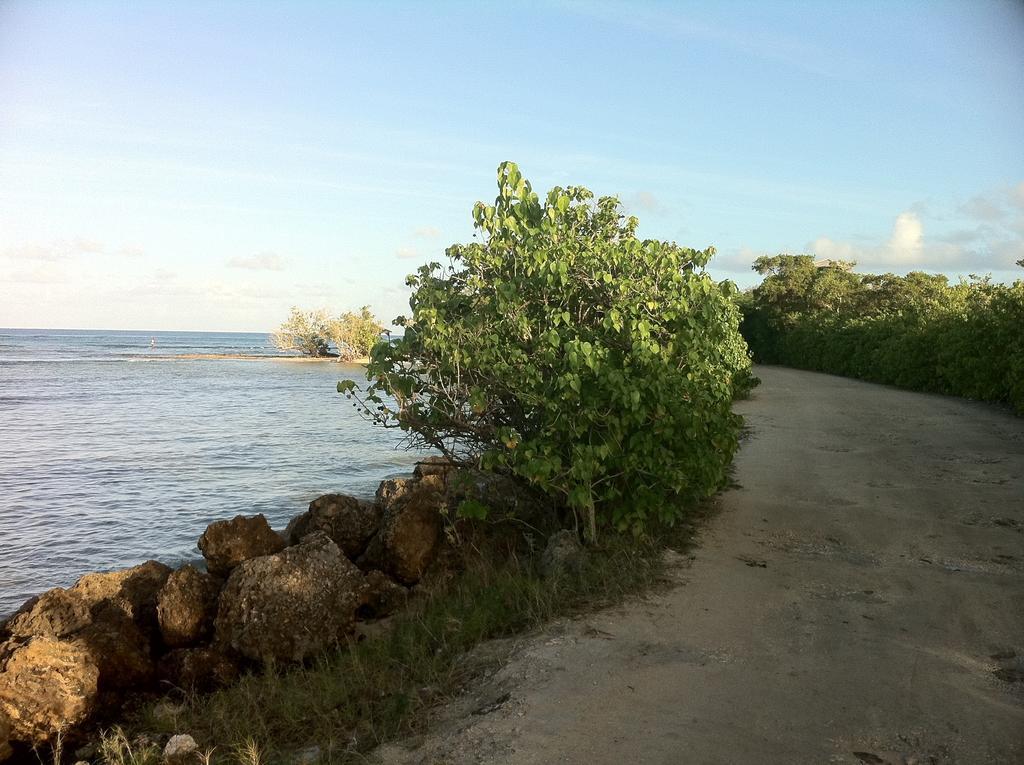 Caraibe Creol' Keys Lägenhet Port-Louis Rum bild