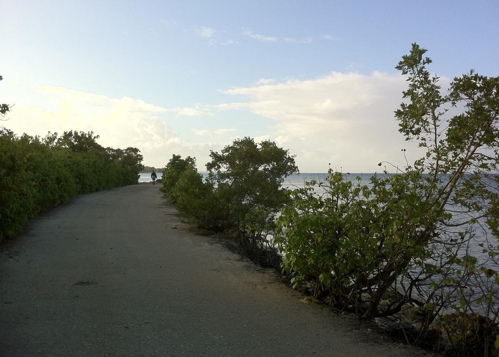 Caraibe Creol' Keys Lägenhet Port-Louis Rum bild